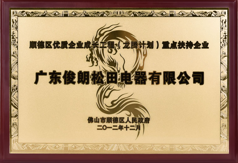 重點扶持企業