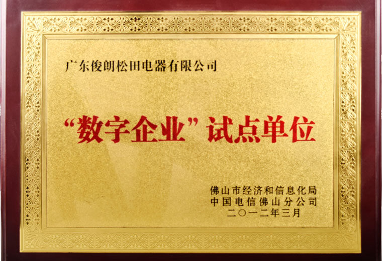 “數字企業”試點單位