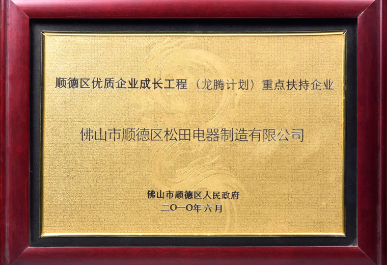 重點扶持企業
